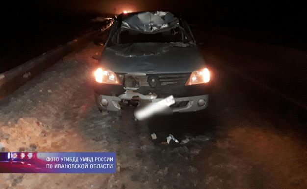 В Фурмановском районе под колеса «Рено» попал лось